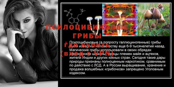 ПСИЛОЦИБИНОВЫЕ ГРИБЫ Зерноград