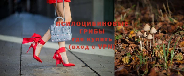 шишки Алзамай