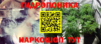 apvp Кудрово