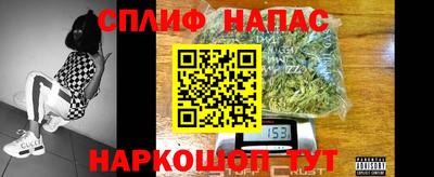 apvp Кудрово