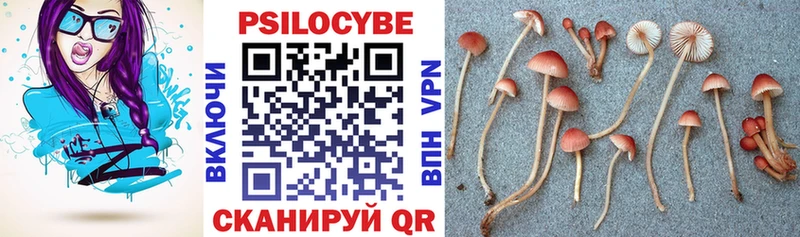 Галлюциногенные грибы мухоморы  закладки  Балабаново 