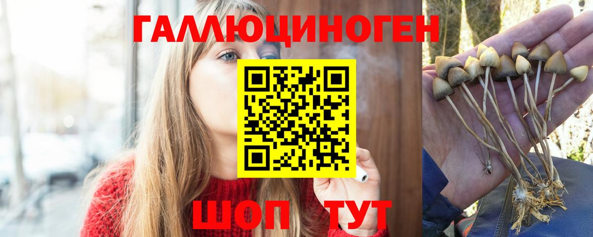 Псилоцибиновые грибы мицелий Балабаново